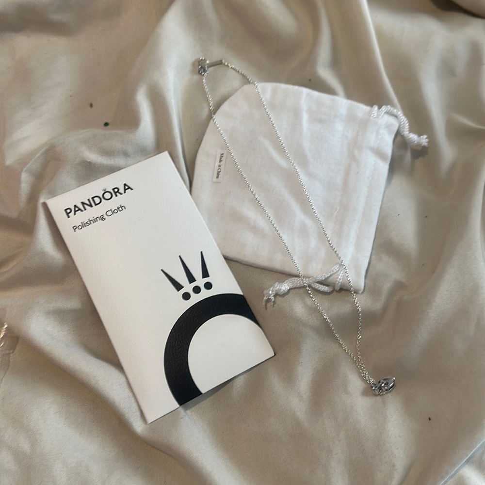 Pandora Necklace